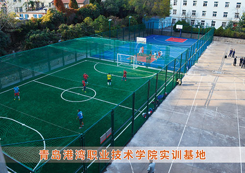 ​mk体育-MKsports官网体育为青岛港湾职业技术学院打造健身实训基地