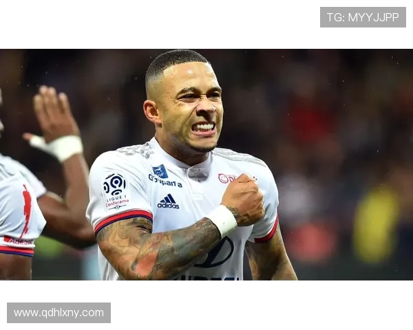 欧洲杯德佩遗憾