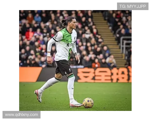 努涅斯在利物浦的战术角色与定位解析